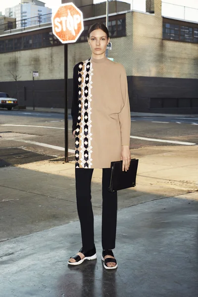 Look 15